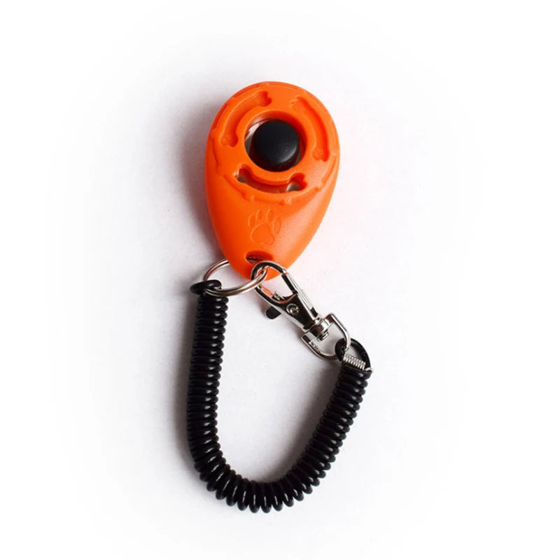 Click Trainer Aid Key Chain